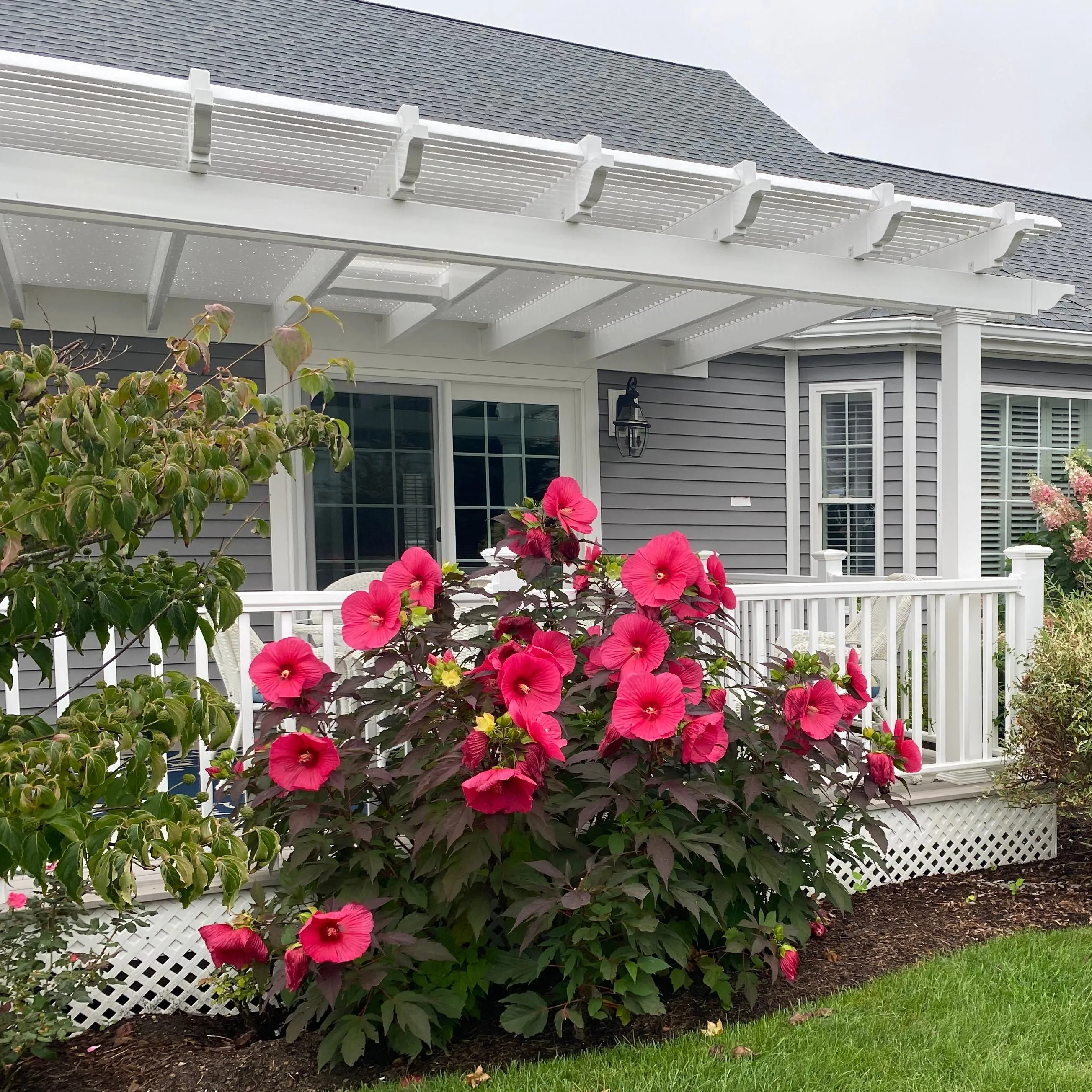 18' x 8' Wall-Mount Pergola - Made in USA
