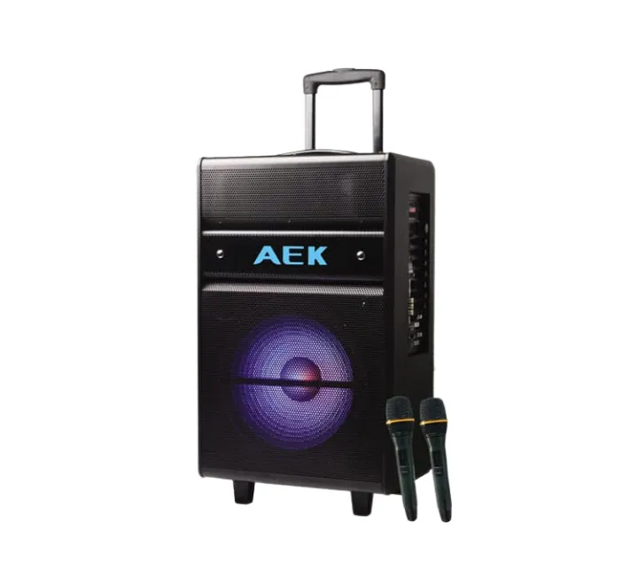 AEK LT-121 Speaker (Black)