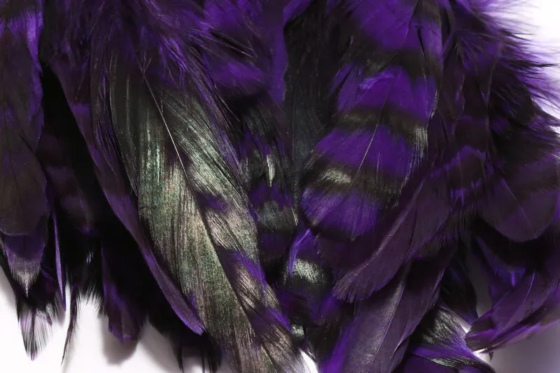 Barred Variant Schlappen - Hareline