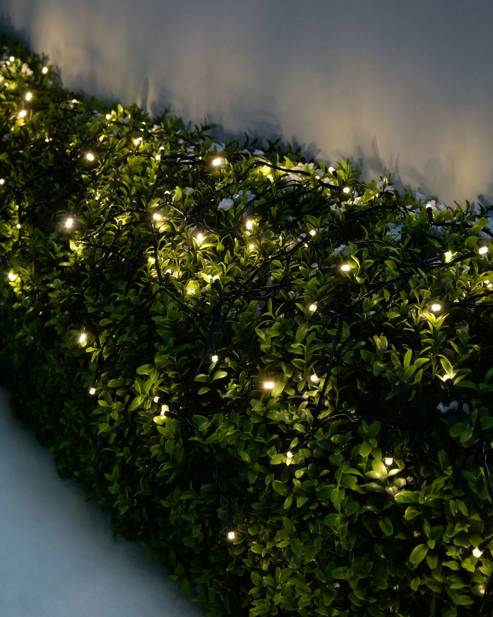 Battery Operated Multi-Function 100 LED Light String with Timer, Warm White