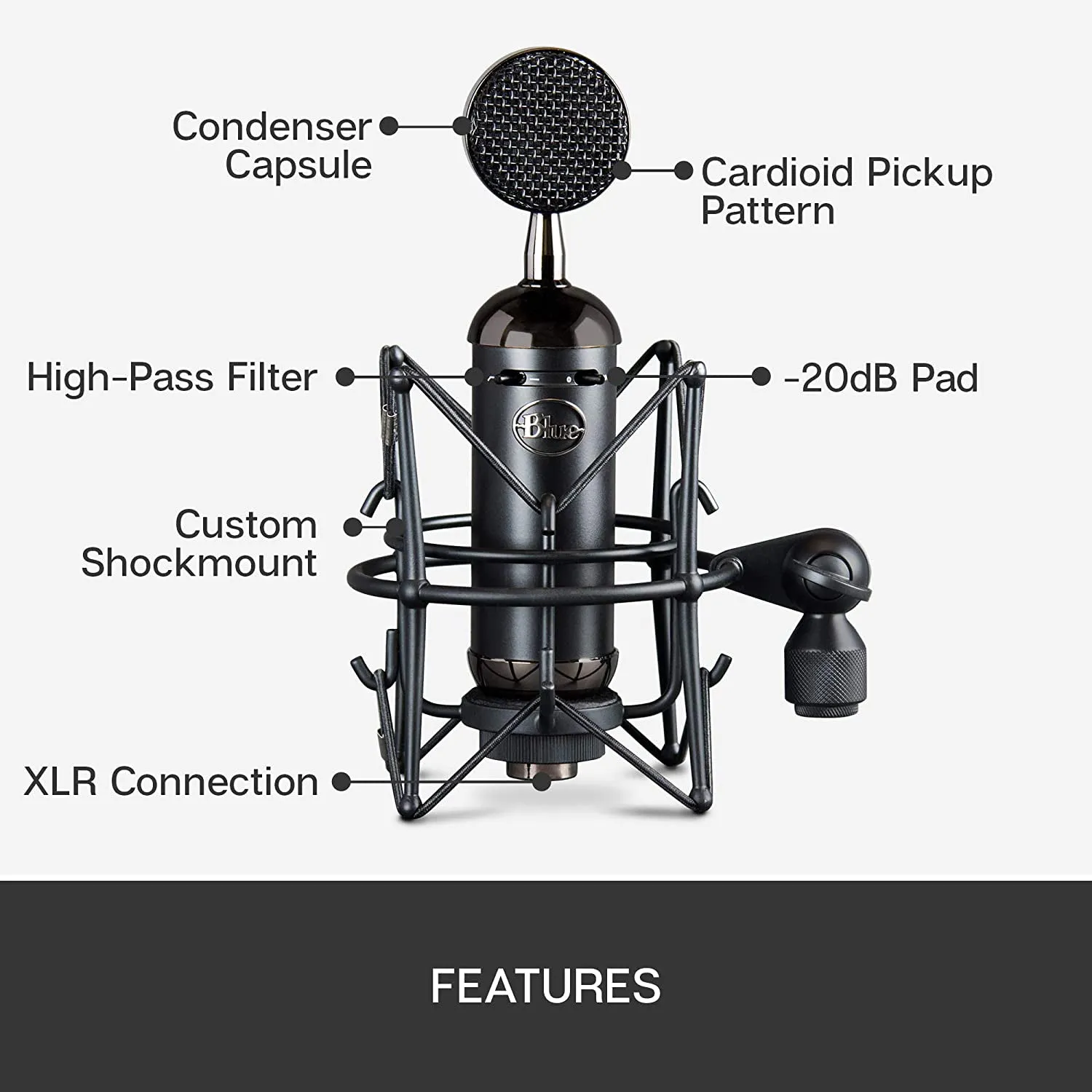 Blue Microphones Spark SL Blackout Large-diaphragm Condenser Microphone