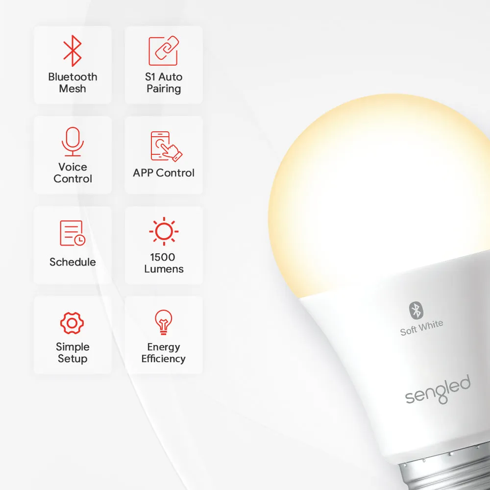Bluetooth White 2700K A19/E26 - 100W 16 Packs