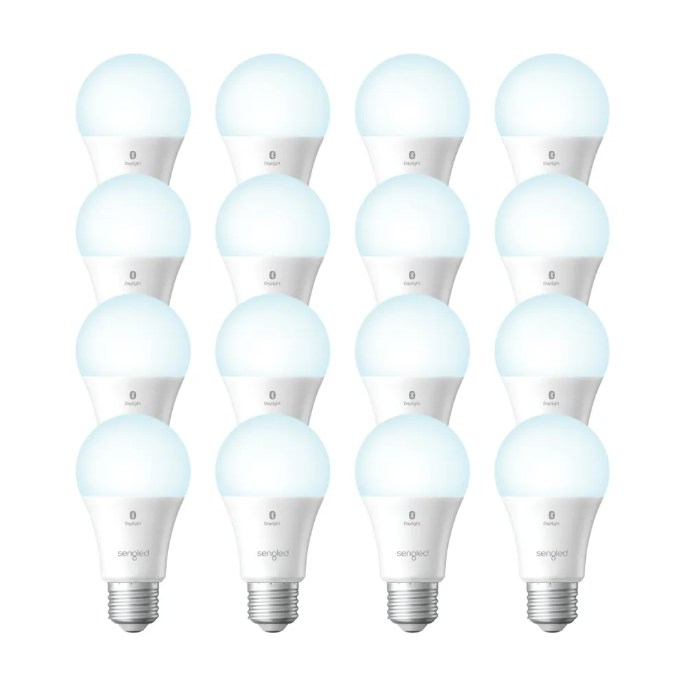 Bluetooth White 5000K A19/E26 16 Packs