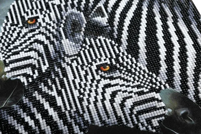 CAK-QVC-3030M-04: Zebra Hugs, 30x30cm Crystal Art Kit