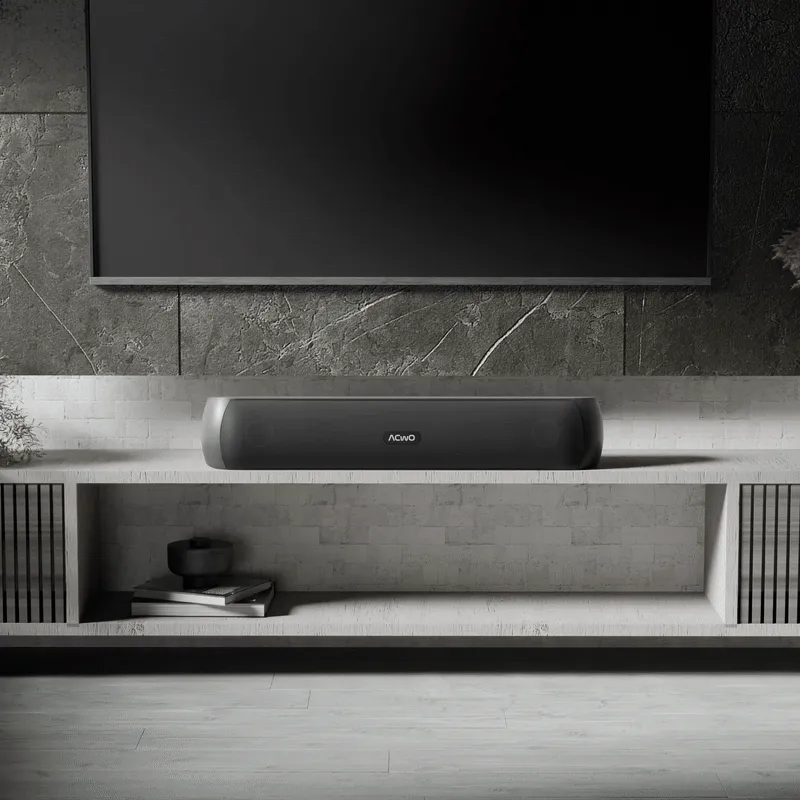 CARNIwAL 101: TWS Soundbar Bluetooth Speakers