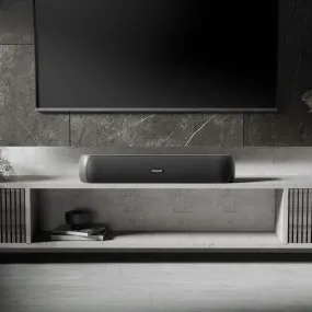 CARNIwAL 101: TWS Soundbar Bluetooth Speakers