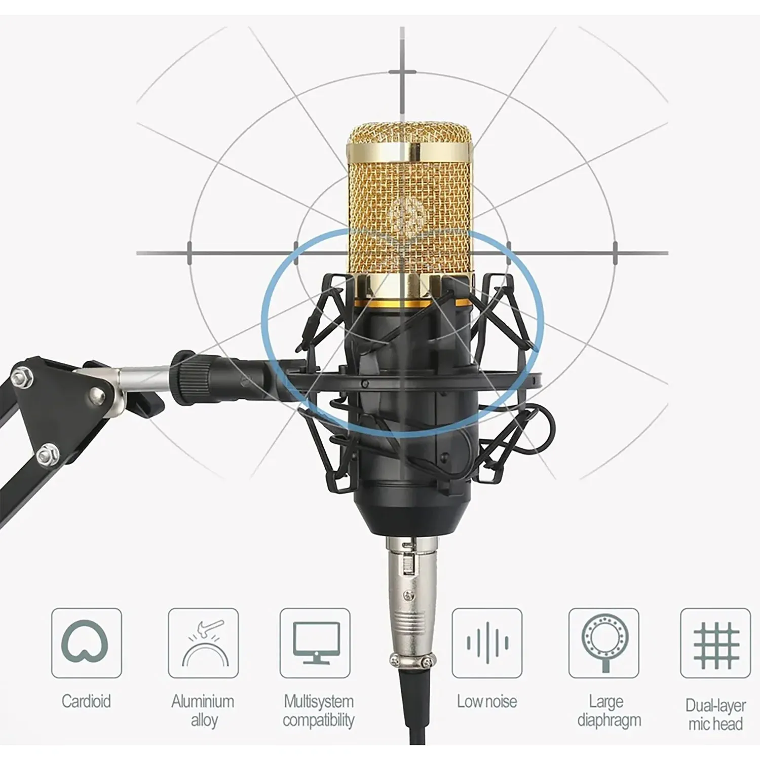 Complete Professional Microphone Kit