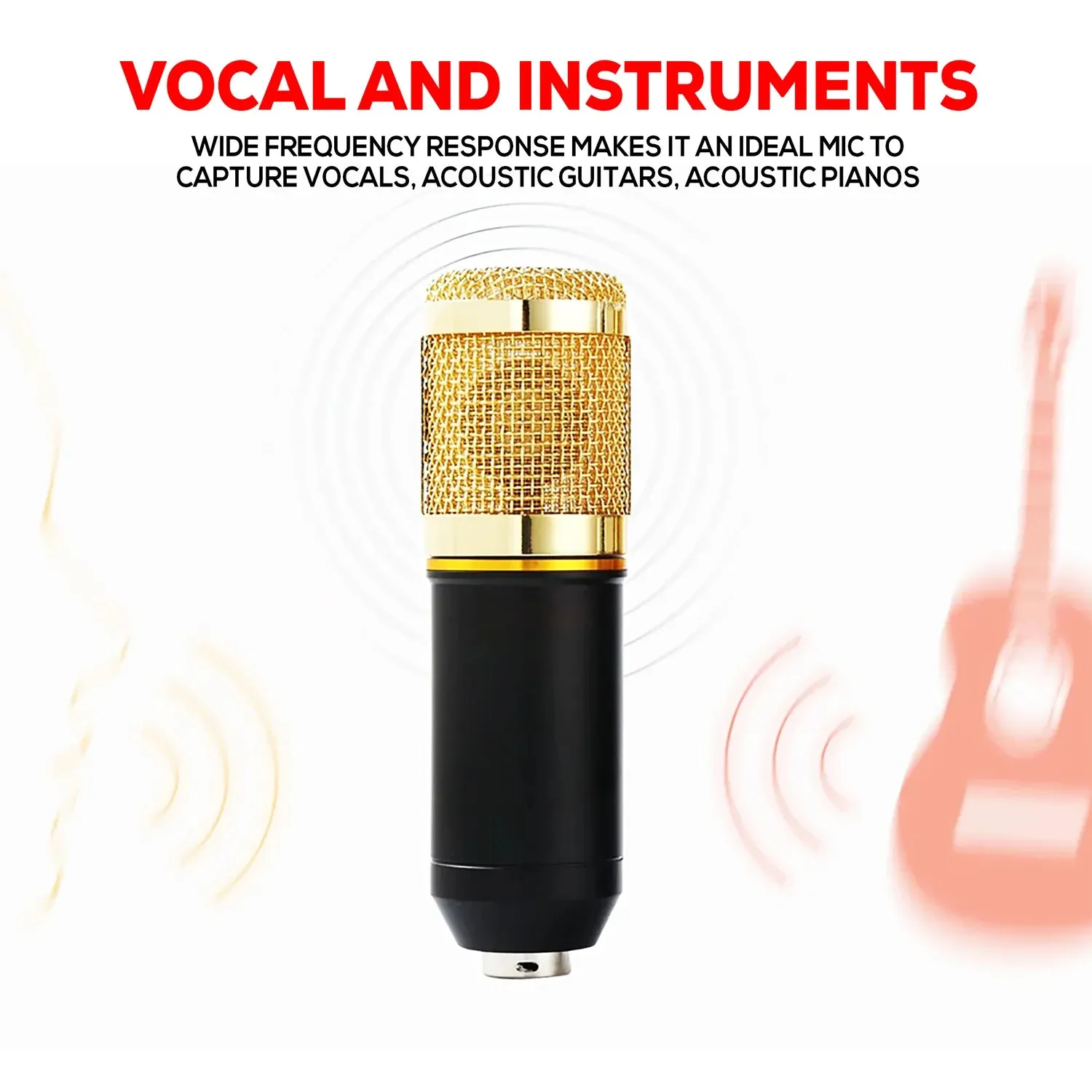 Complete Professional Microphone Kit