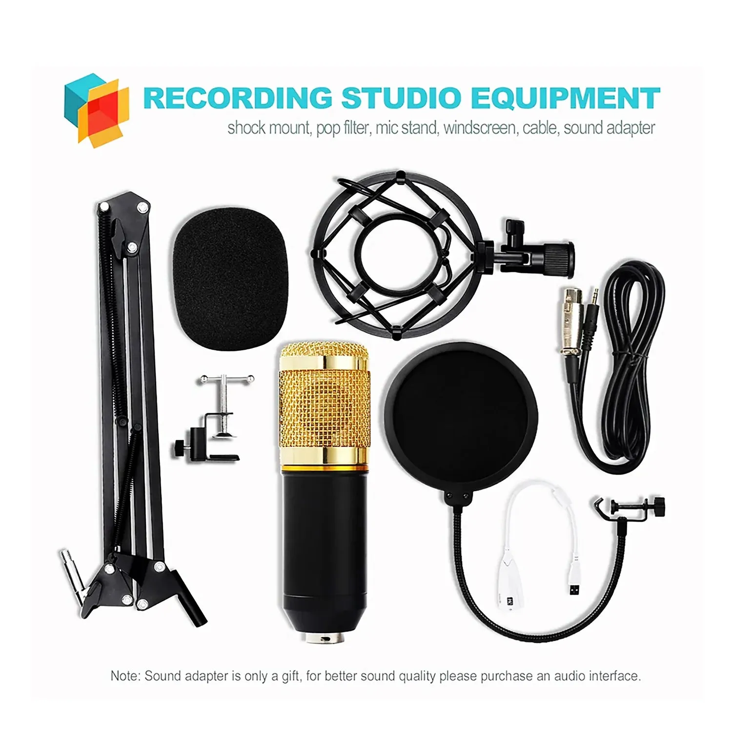 Complete Professional Microphone Kit