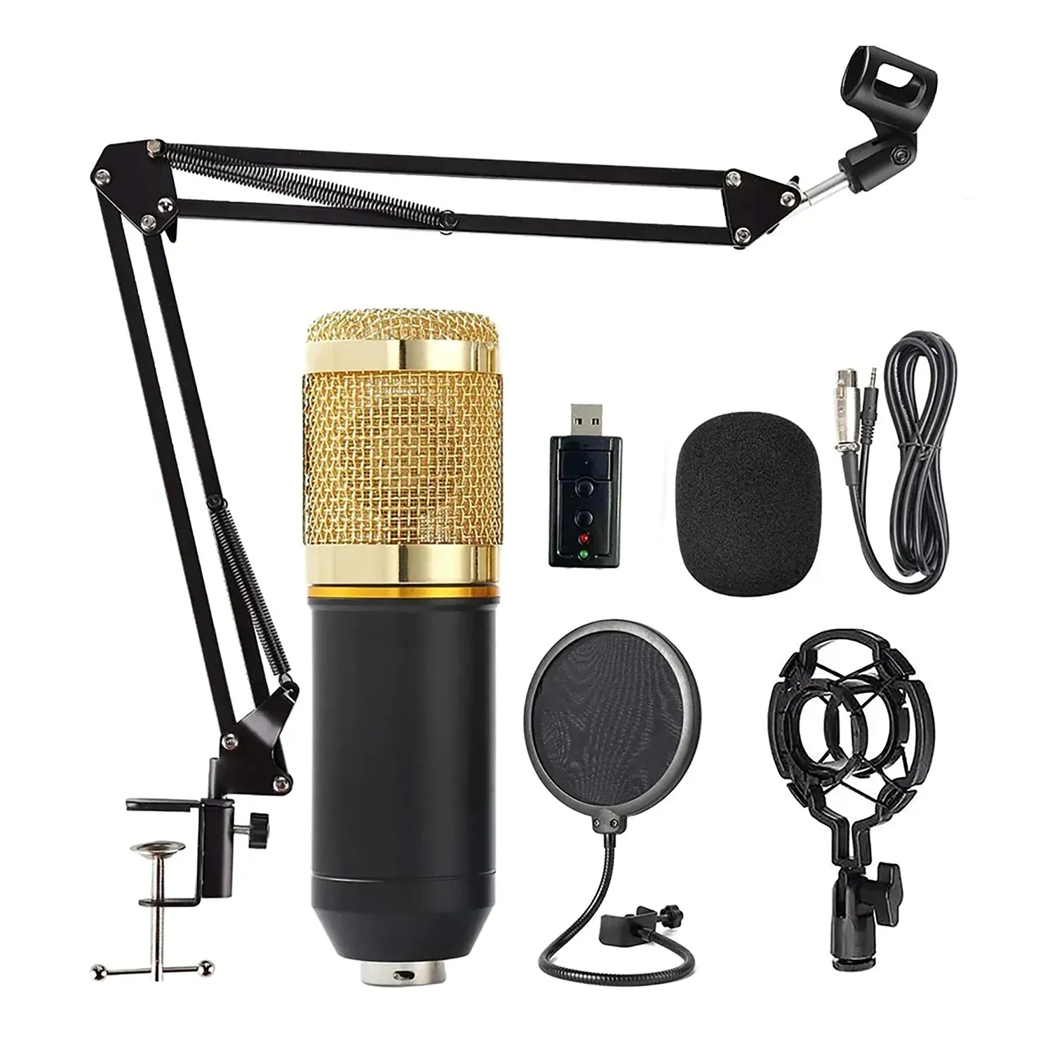 Complete Professional Microphone Kit