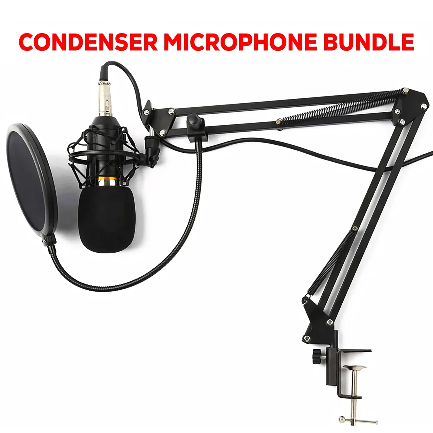 Complete Professional Microphone Kit