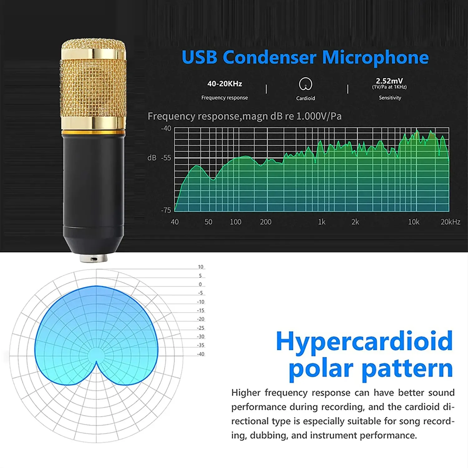Complete Professional Microphone Kit