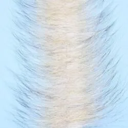 EP Foxy Brush 3" Wide