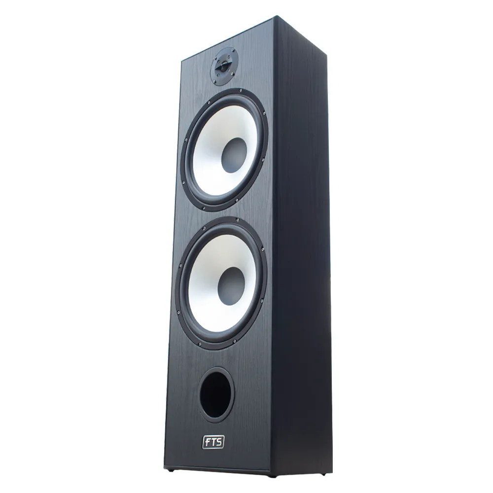 FTS 12'' Dual Passive Speaker Pair Black [FTS -D12 BK]