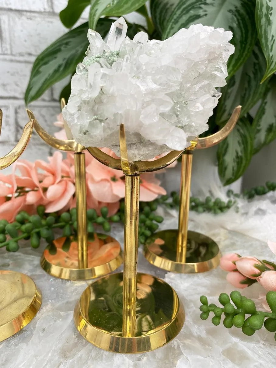 Gold Metal Stands