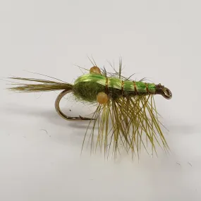 Green Mountain Shrimp