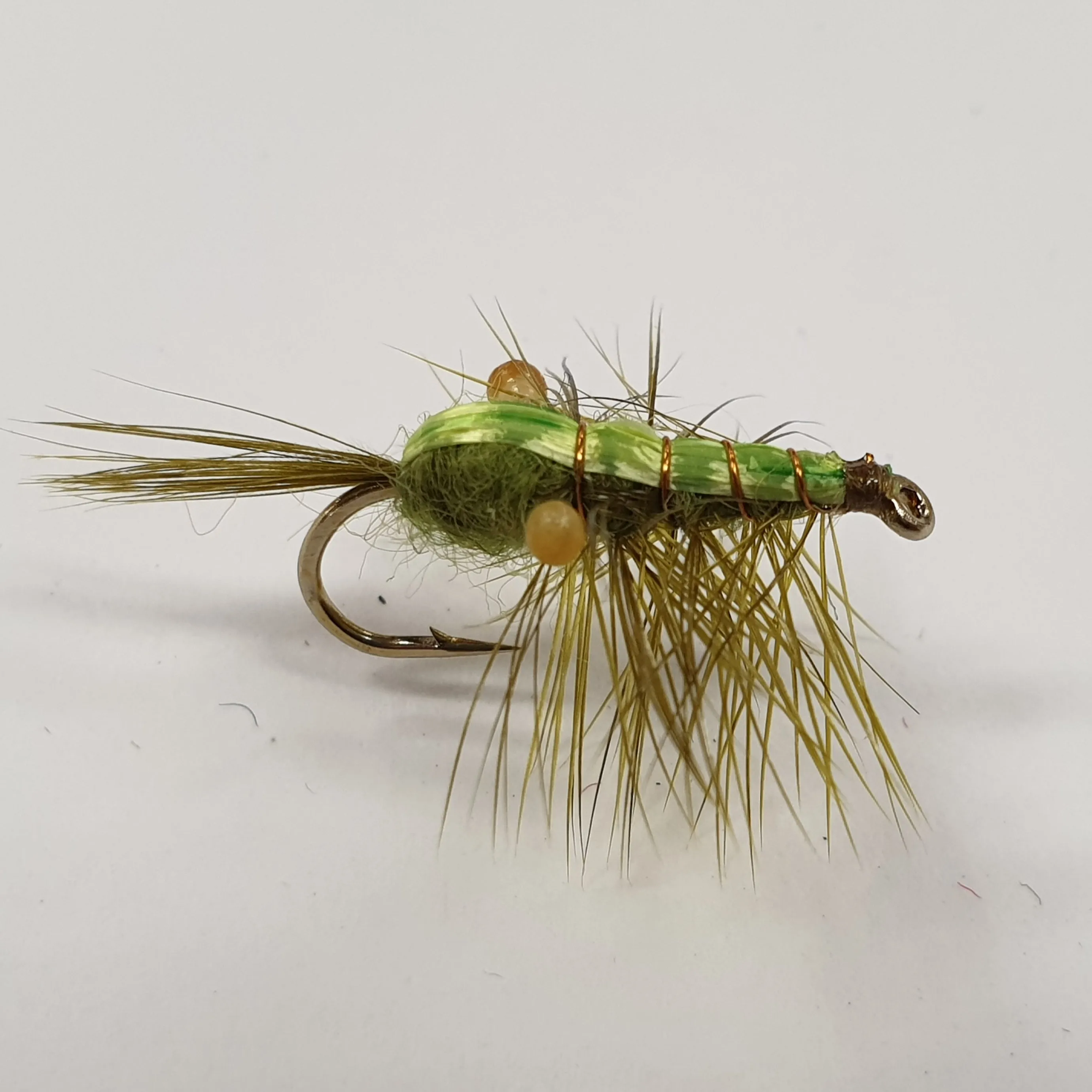 Green Mountain Shrimp