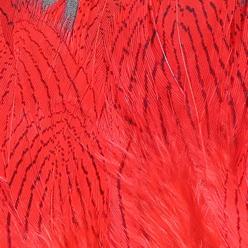 Hareline Silver Pheasant Feathers
