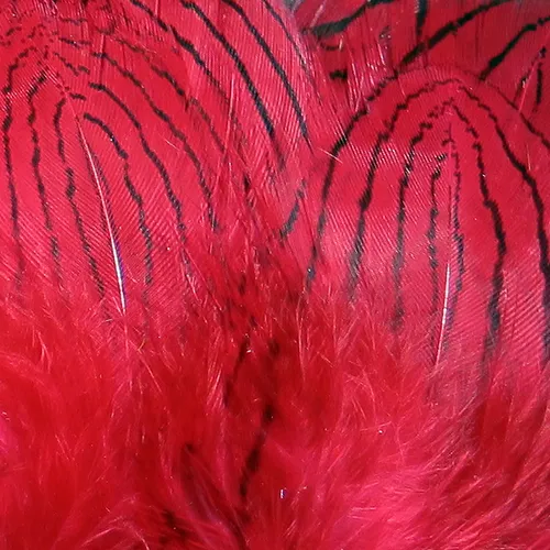 Hareline Silver Pheasant Feathers