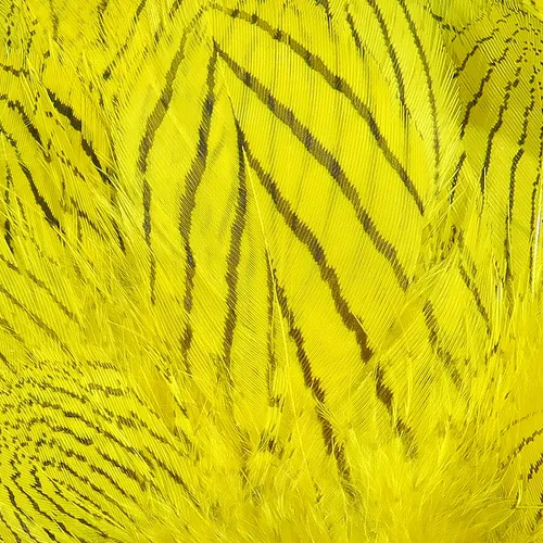 Hareline Silver Pheasant Feathers