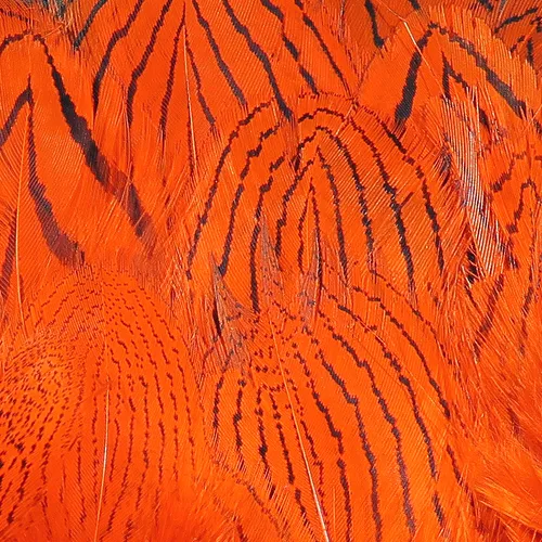 Hareline Silver Pheasant Feathers