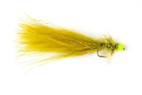Hot Taddy Olive & Green