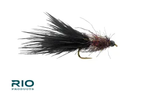 Jelly Leech - RIO