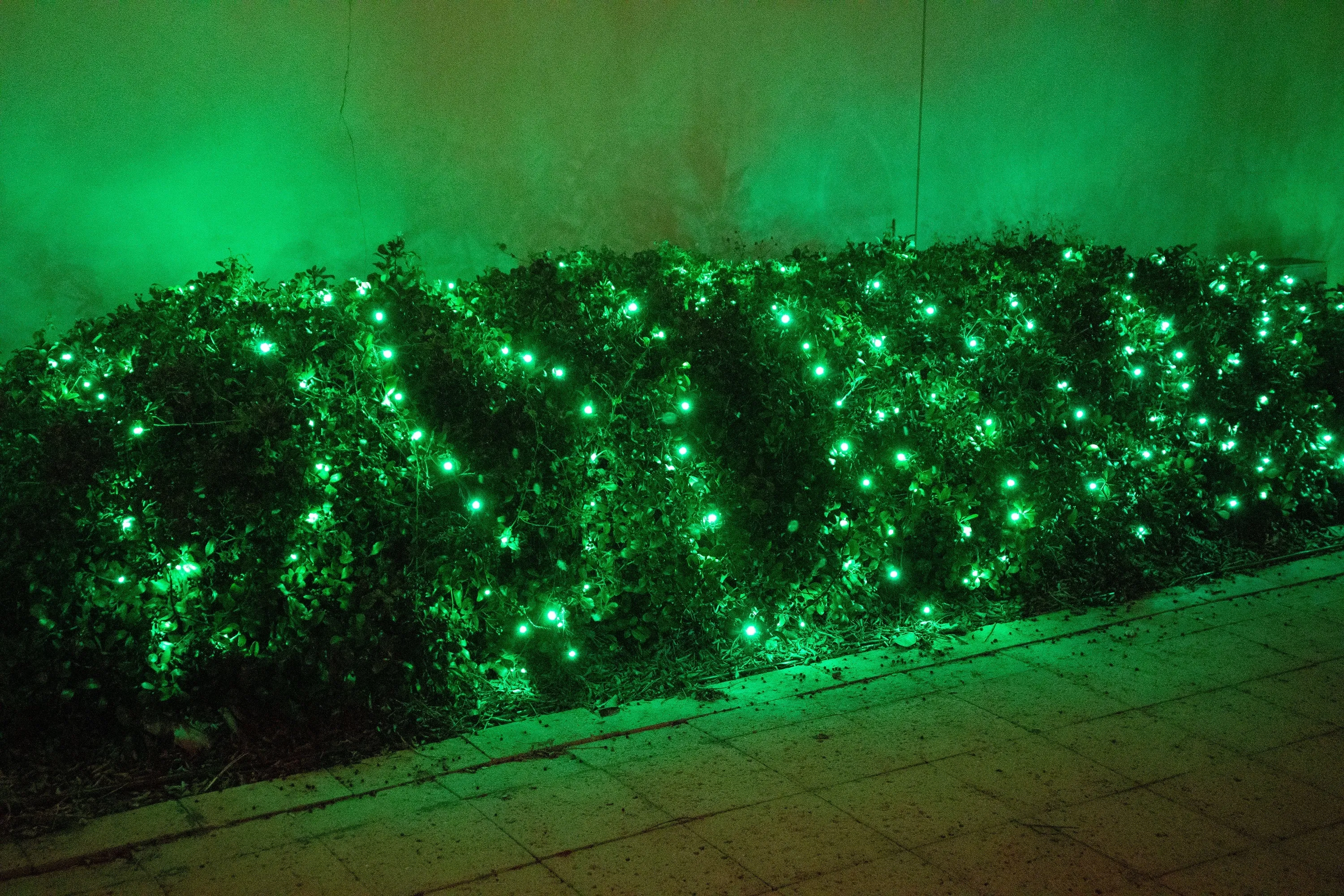 M5 70L LED Christmas Lights GREEN