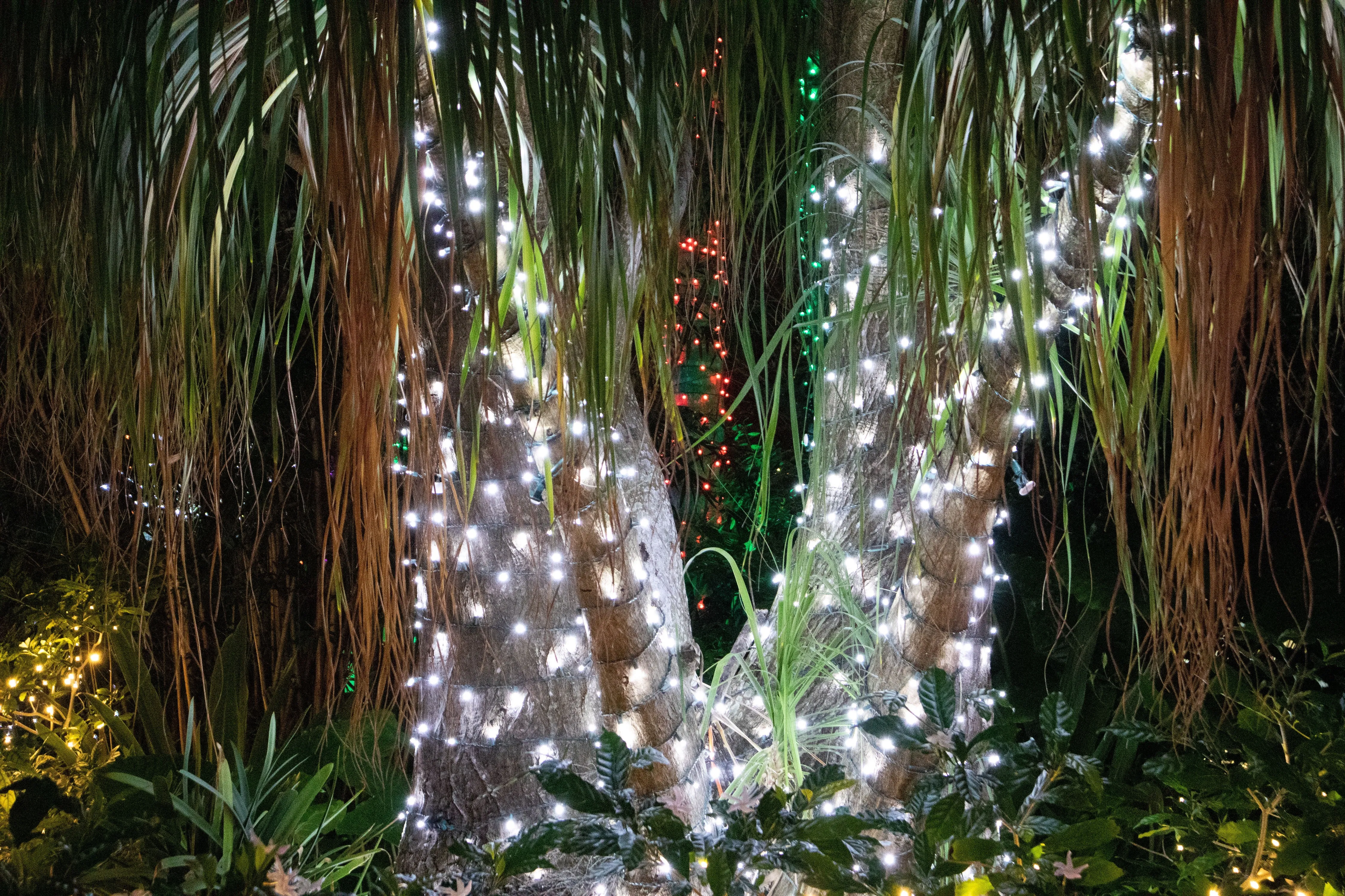 M5 70L LED Christmas Lights PURE WHITE