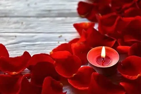 NUTRI MIRACLE Diya Tealight Scented Candles - Rose 100 Tea Lights Red Colour Burns 4 Hour