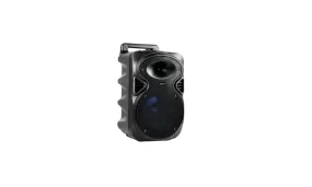 Polaroid Polartec Dual 8” Party Speaker