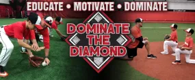 Quick Start by Dominate the Diamond
