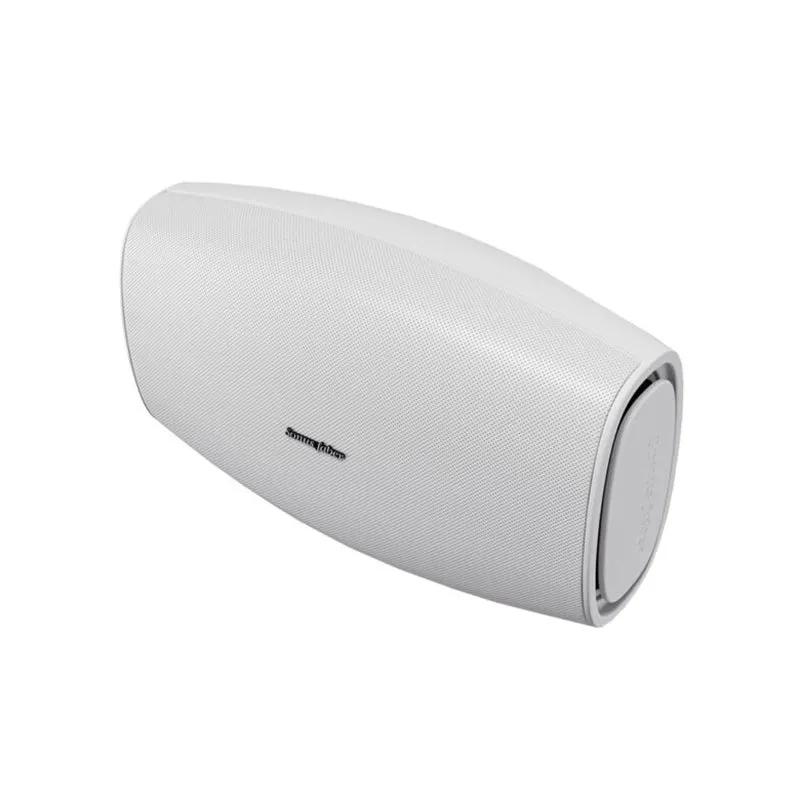 Sonus Faber Aster High Fidelity Outdoor Speaker (Each)