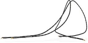 Synergistic Research Foundation SX Speaker Cables