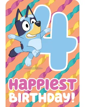 Waterlyn Age 4 Bluey Streamers