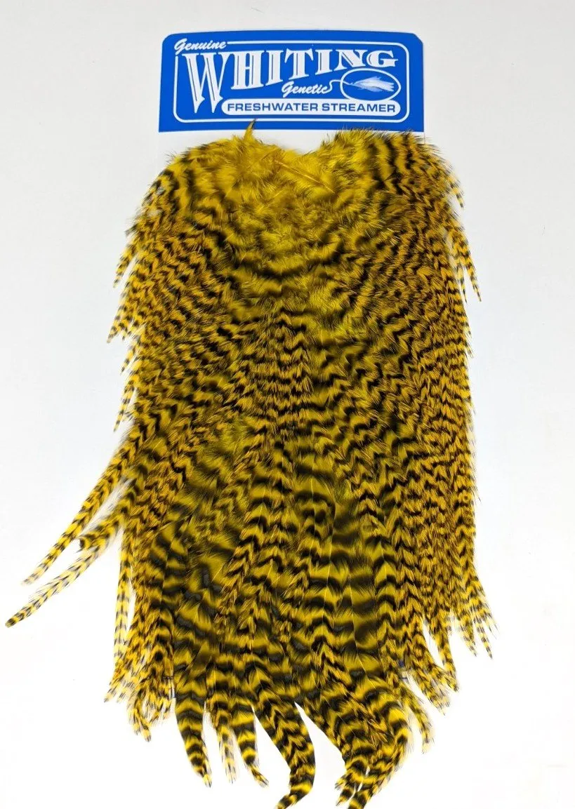 Whiting Freshwater Streamer Saddle