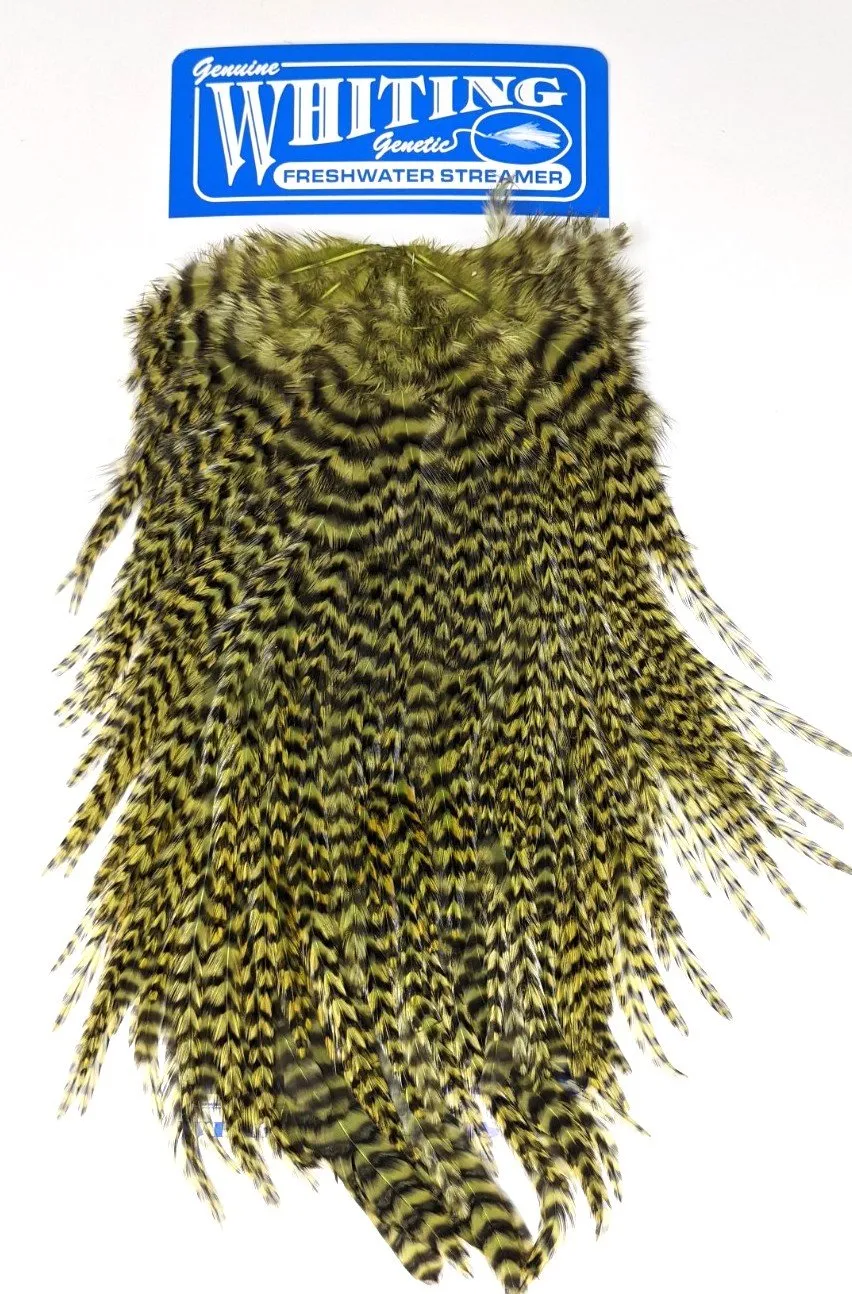 Whiting Freshwater Streamer Saddle