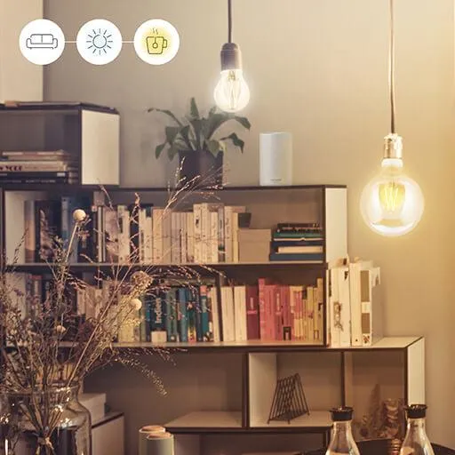 WiZ White Filament A60 B22 Smart LED Bulb - Amber | 94WZ21826011A
