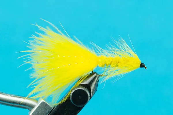 Woolly Bugger